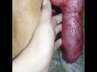 Pourne Video Sex