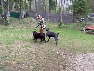 Mom Then Quite Deliberately Moved Her Hand To Her Warm Fertile Pussy And Inserted Two Fingers. It Was Very Wet