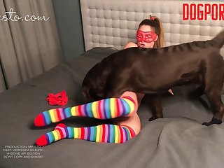 I Got Them From The Trailer And Put Dog’s Feet In Them And Pulled The Velcro Tight