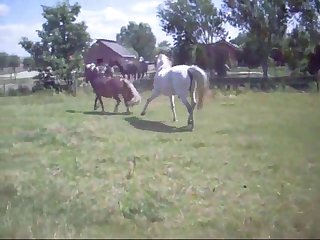 Basjeslotjes Unification2