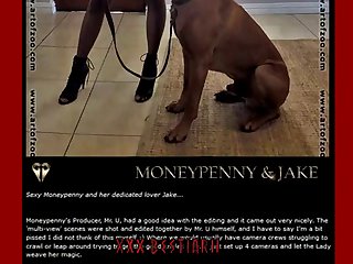 Porn Pet