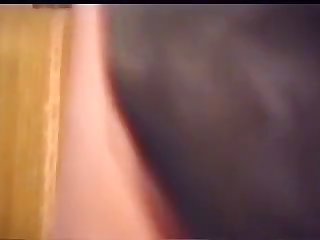 Dog Cock In Pussy
