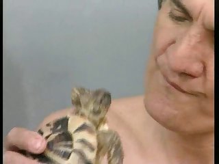 Man Sex With Animals