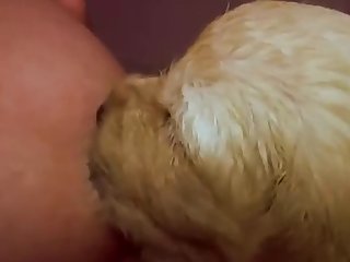 Whos Line Animal Porn
