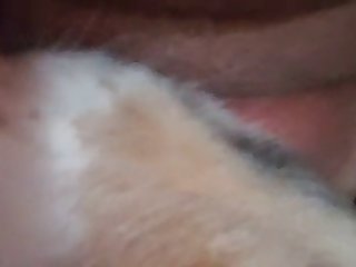 Gay Boy Animal Porn