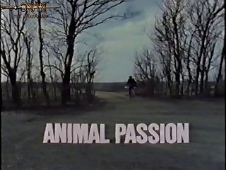 Free Homemade Animal Sex