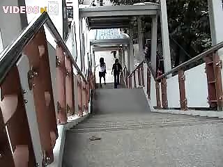 Zoofilia Con Perro