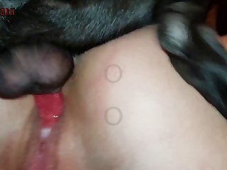 Porn Hub Sex Videos Xxx