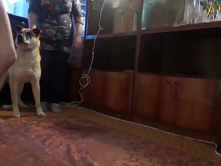 Sonakshi Sinha Porn Xxx