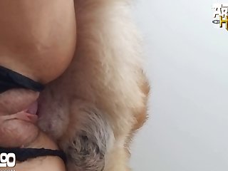 Lana Rhoades Joi Xxx Porn