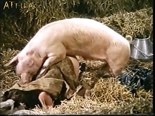 Fucking A Cat Zoo Porn