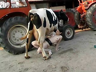 Tripti Dimri Animal Sex Scene