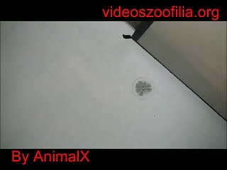 Art Of Zoo Porn Compilation