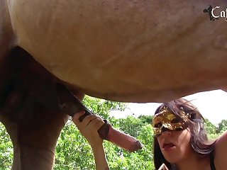 Boys And Animal Sex Video