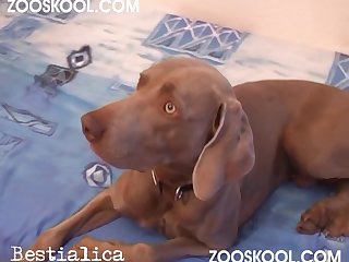 Sofiathebaddie Dog Porn Video