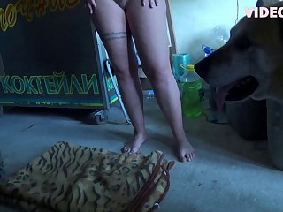 Animal And Woman Porn Video