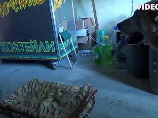 Animal And Woman Porn Video