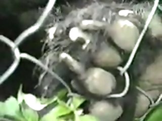 Loving Dakotas Cock Chunk 20