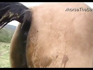Egua Se Borra