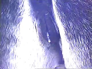 Solo Teen Dog Porn