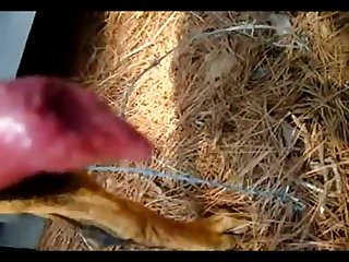 Home Zoo Tube