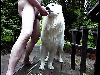Dog Porn Mature