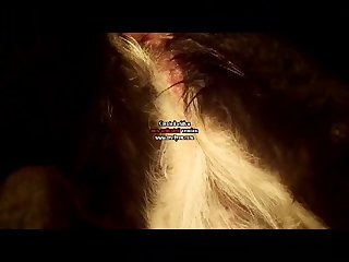 Dog Porn Cartoons