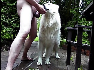 Dog Porn Mature