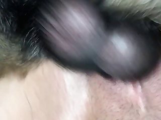 Naughty America Animal Sex