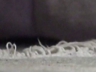 Https Animal Sex