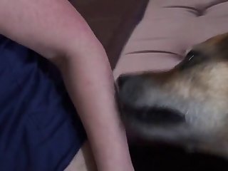 Https Animal Sex