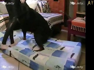 Animted Dog Porn