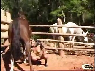 Zoo Porn Cosplay