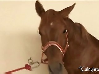 Animal Sex Full Free