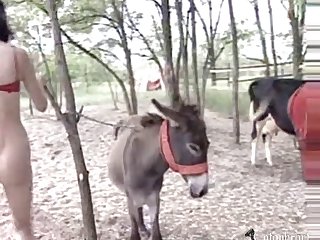 Animal Sex Vidose