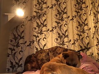 Teamrussia Машбим