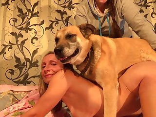 Teamrussia Машбим