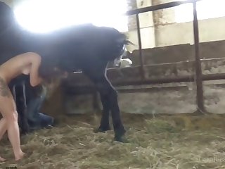 Masha Horse Video